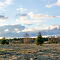 SAM-2899-NX20-and-Samsung-18-55-f-35-56-OIS-50-mm.jpg