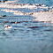 SAM-7538-NX30308-mm-1-1600-sec-at-f-56.jpg