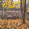 SAM-6038-NX3024-mm-1-8-sec-at-f-80-sharp.JPG