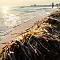 SAM-4202-NX3024-mm-1-500-sec-at-f-80.jpg