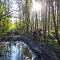 SAM-7964-NX3024-mm-1-200-sec-at-f-28.jpg