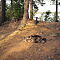 SAM-9371-NX3046-mm-1-125-sec-at-f-63.jpg