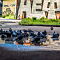 SAM-9594-NX30126-mm-1-125-sec-at-f-56.jpg