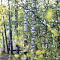 SAM-5291-NX30-69-mm-1-125-sec-at-f-22.jpg