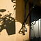 SAM-5423-NX30-46-mm-1-1600-sec-at-f-32.jpg