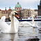DSC05938-70-mm-ISO-400-1-80-sec-at-f-56.jpg