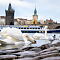 DSC05941-70-mm-ISO-400-1-80-sec-at-f-56.jpg
