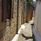 DSC06993.JPG