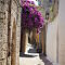 DSC06995.JPG
