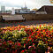 SAM-0352-NX30-Samsung-30mm-f-2-1-160-sec-at-f-40-resize.jpg