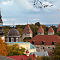 SAM-0447-NX30-Samsung-50-200mm-f-4-56-ED-OIS-1-100-sec-at-f-80-resize.jpg