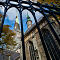 SAM-0667-NX30-Samsung-16mm-f-24-1-80-sec-at-f-80-resize.jpg