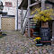 SAM-0835-NX30-Samsung-18-55-f-35-56-OIS-1-40-sec-at-f-71-resize.jpg