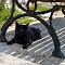 DSC07512-ILCE-7M3-70-mm.jpg