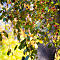 DSC03397-ILCE-7M3-85-mm.jpg