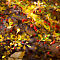 DSC03398-ILCE-7M3-85-mm.jpg