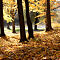 DSC03418-ILCE-7M3-50-mm.jpg
