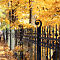 DSC03445-ILCE-7M3-50-mm.jpg