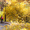 DSC03300-ILCE-7M3-85-mm.jpg