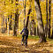 DSC03406-ILCE-7M3-50-mm.jpg