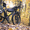 IMG-1963-Canon-EOS-M50m2.jpg