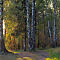 IMG-2041-Canon-EOS-M50m2.jpg