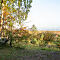 IMG-2031-Canon-EOS-M50m2.jpg