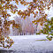 DSC06918-ILCE-7M3-50-mm.jpg
