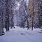 DSC06853-ILCE-7M3-50-mm.jpg