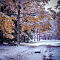 DSC06921-ILCE-7M3-50-mm.jpg