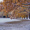 DSC06896-ILCE-7M3-50-mm.jpg