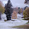 DSC07087-ILCE-7M3-40-mm.jpg