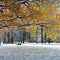 DSC06688-ILCE-7M3-55-mm.jpg