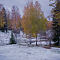 DSC07083-ILCE-7M3-40-mm.jpg