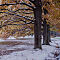 DSC06897-ILCE-7M3-50-mm.jpg