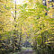 IMG-1974-Canon-EOS-M50m2.jpg