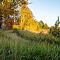 IMG-2059-Canon-EOS-M50m2.jpg